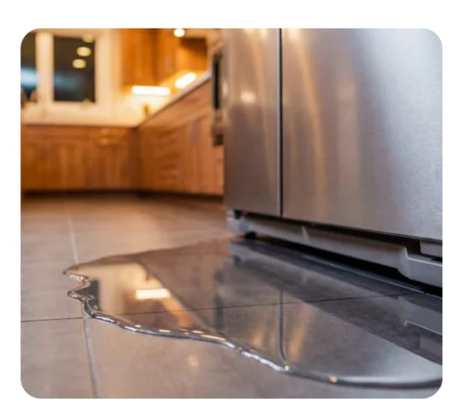 Leak Repair